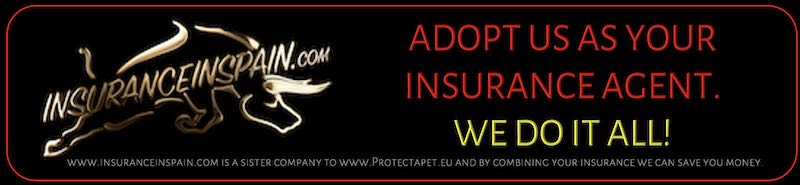 Adopt a dog banner for insurance in Spain